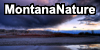 MontanaNature's avatar