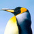 montesfml :iconmontesfml: