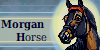 Morgan-Horse-Club's avatar
