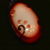 :iconmothglass: