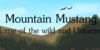 Mountain-Mustang's avatar