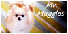 Mr--Muggles's avatar