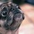MrHamburgerMan :iconmrhamburgerman: