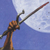 mrtd :iconmrtd: