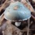 MuchanaDoraiba :iconmuchanadoraiba: