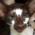MumsysThottimus :iconmumsysthottimus: