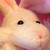 Mumuza :iconmumuza: