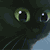Mun290504 :iconmun290504: