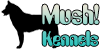 Mush-Kennels's avatar