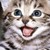 musicFox33 :iconmusicfox33: