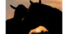 Mustang-ARPG's avatar