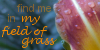 My-field-of-grass's avatar