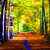 Mycelius :iconmycelius: