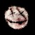 MykeSenpai :iconmykesenpai: