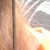 mylove16 :iconmylove16: