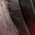 mylove3 :iconmylove3: