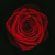 MyPrettyMedecine :iconmyprettymedecine: