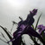 mystdream :iconmystdream: