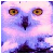 :iconmystic-owl: