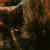 mystichal :iconmystichal: