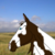 Mysticmares :iconmysticmares: