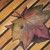 Nadab :iconnadab: