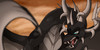Naeda-the-Soul-Eater's avatar