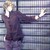 Naelianne :iconnaelianne: