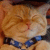 :iconnagareboshi: