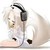 narwalover :iconnarwalover: