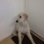 Natalia57 :iconnatalia57: