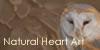 :iconnatural-heart-art: