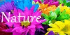 Nature-Colors's avatar