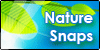Nature-Snaps's avatar