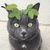 NatureArt14 :iconnatureart14: