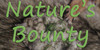 NaturesBounty's avatar