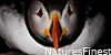 NaturesFinest's avatar