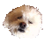 NaturesKiss :iconnatureskiss: