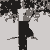 naumatt :iconnaumatt:
