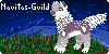 Navitas-Guild's avatar