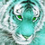 nayakri :iconnayakri: