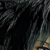 ncaelumbleachwolf :iconncaelumbleachwolf: