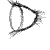 neaphredannea :iconneaphredannea:
