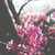 nebulaishere :iconnebulaishere: