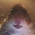 :iconneighborhoodroach: