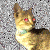 NeighbourhoodFelidae :iconneighbourhoodfelidae: