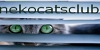 nekocatsclub's avatar