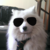 Neowolfsp :iconneowolfsp: