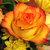 NerdyNightsplash :iconnerdynightsplash: