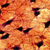 DeviantArt profile picture for @Nerves on DeviantArt